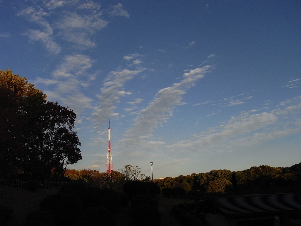 園内風景写真その1